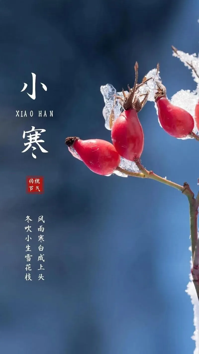 2026年小寒饮食与保健温补防寒，健康迎新年