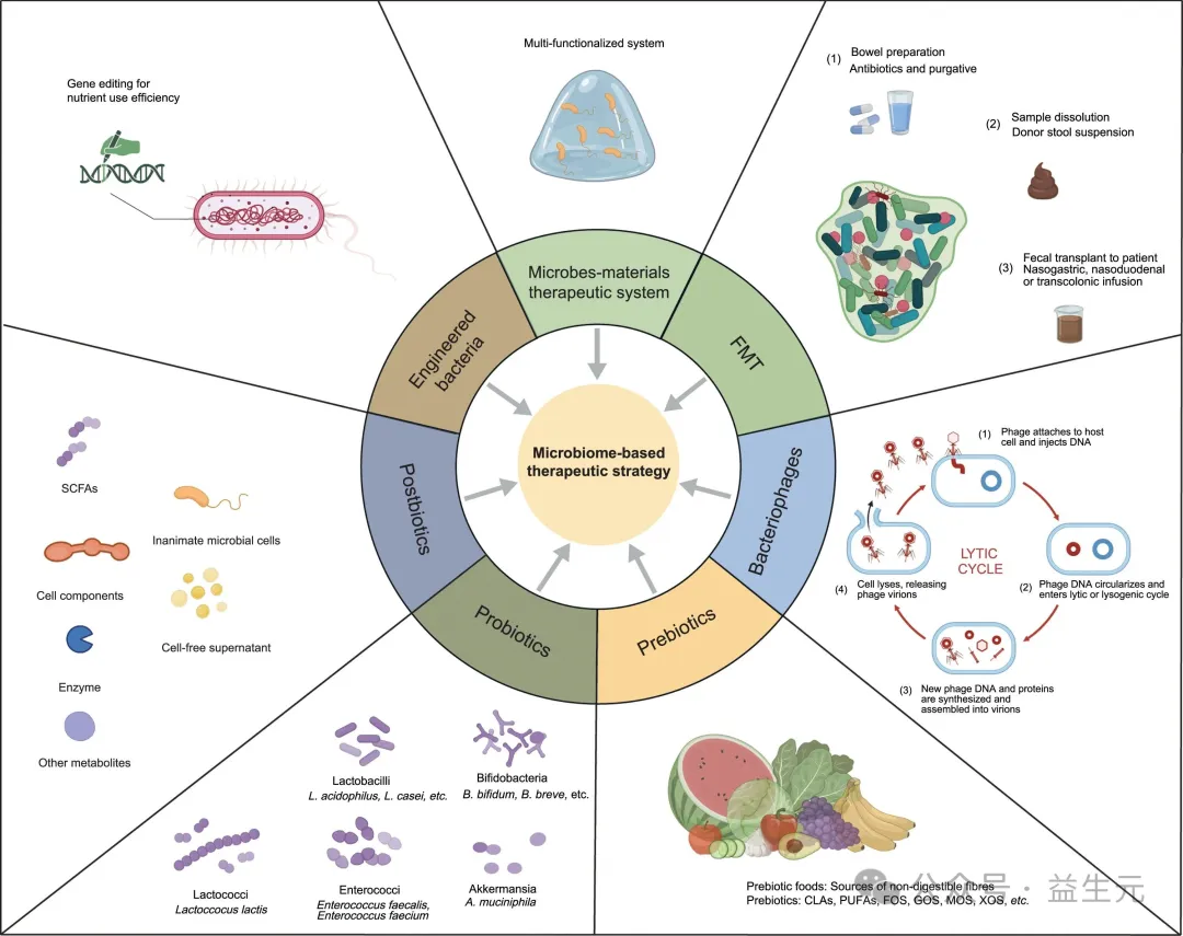 肠道健康为何成为功能食品开发的核心密码