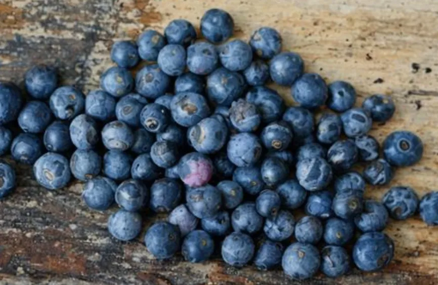 越吃眼睛越亮的3种食物,每天换着吃,护眼又养肝