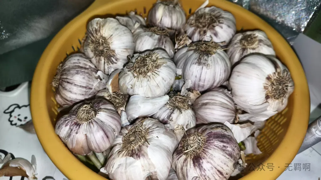 中牟的宝藏特产,原生态花生与农家大蒜的美味密码