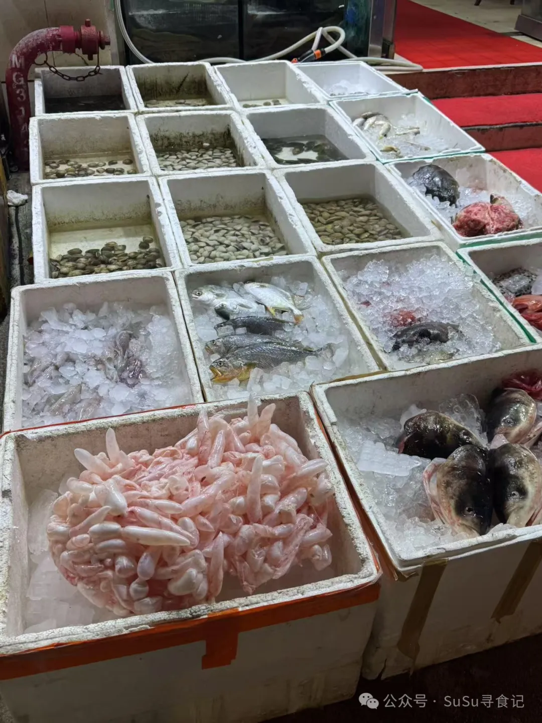 寻味澳门美食接地气的海边码头海鲜大排档