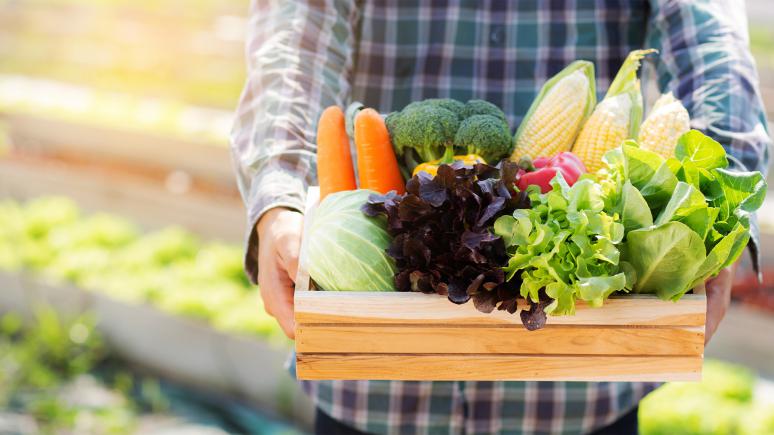餐饮食材配送是现代餐饮业供应链革新的核心驱动力