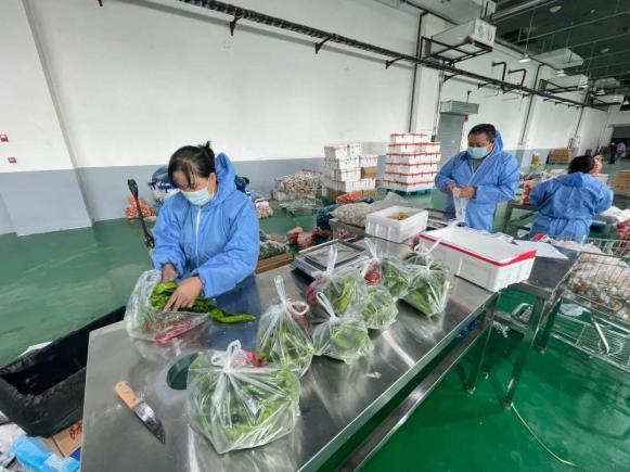 买卖易供应链当餐优选赋能大湾区餐饮企业新鲜食材采购配送