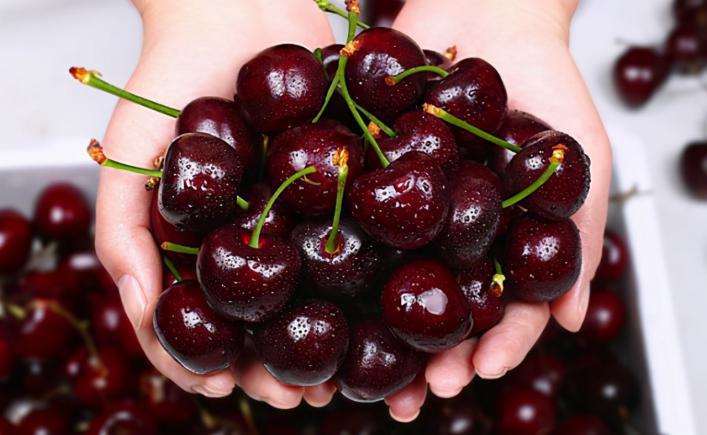 车厘子不止美味，更是“营养小能手”