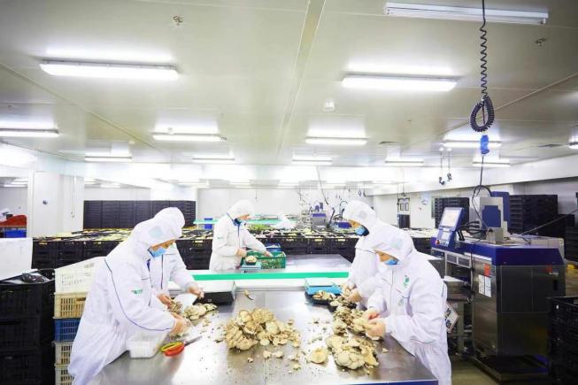 浙菜餐饮食材供应链优化