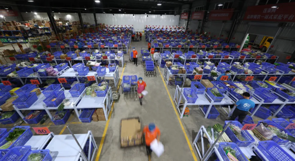 生鲜食材分拣慢、配送发车晚，成本全耗在路上，怎么解决？