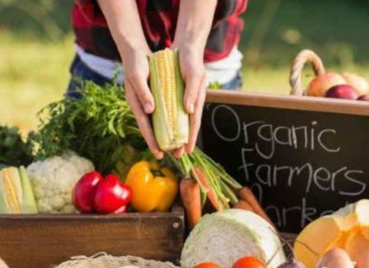 有机食品研发与消费趋势