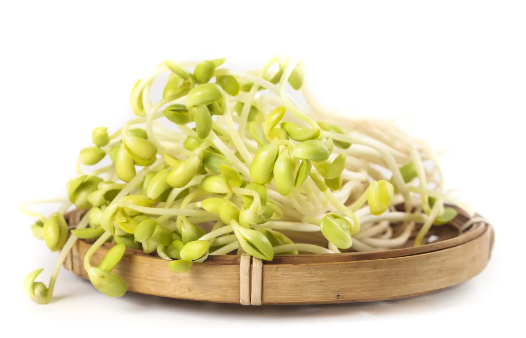 春节囤的食材没吃完?冰箱里还有过年的剩菜怎么办?