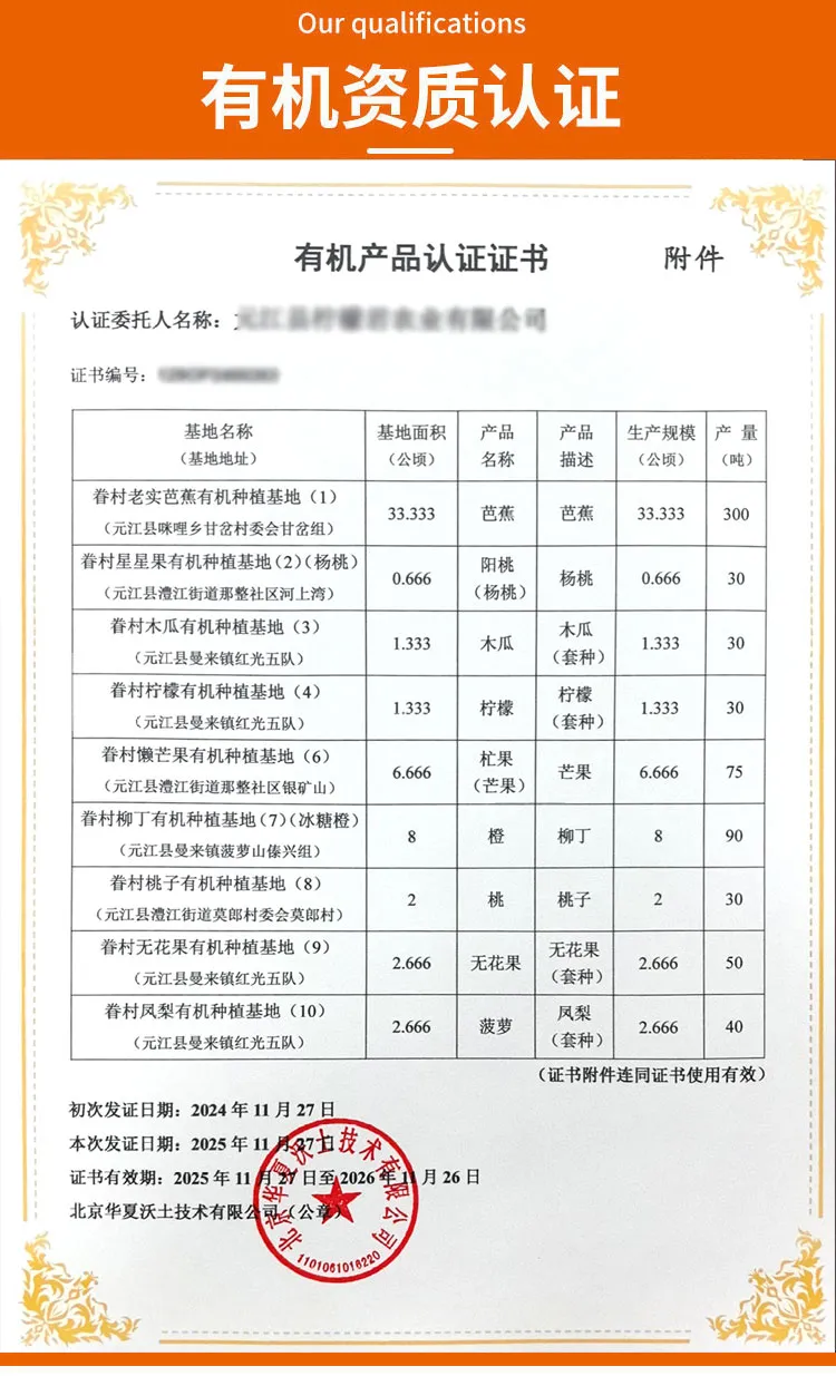 云南有机杨桃,皮薄肉厚,果脆汁多酸甜可口基地新鲜直发
