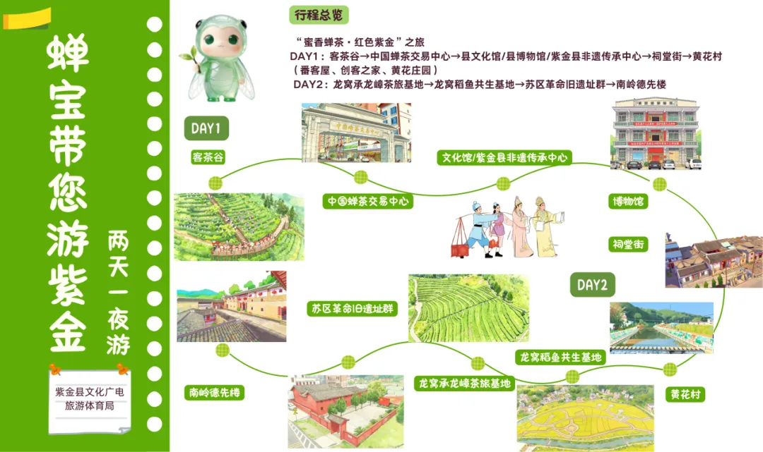 春节去哪儿?来紫金品蝉茶、游茶园、吃美食,惬意过大年