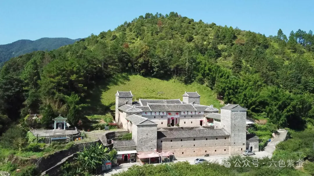 春节去哪儿?来紫金品蝉茶、游茶园、吃美食,惬意过大年