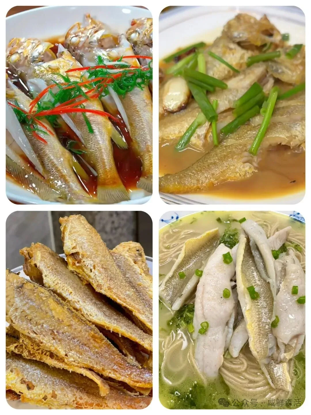 福建人私藏的海味顶流!99元6条!承包你家一周的鲜美