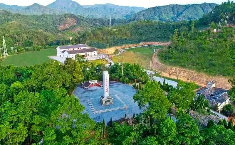 春节去哪儿?来紫金品蝉茶、游茶园、吃美食,惬意过大年