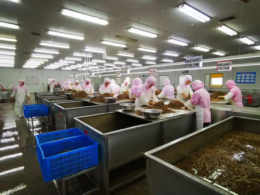 当餐食品初加工和深加工那些事