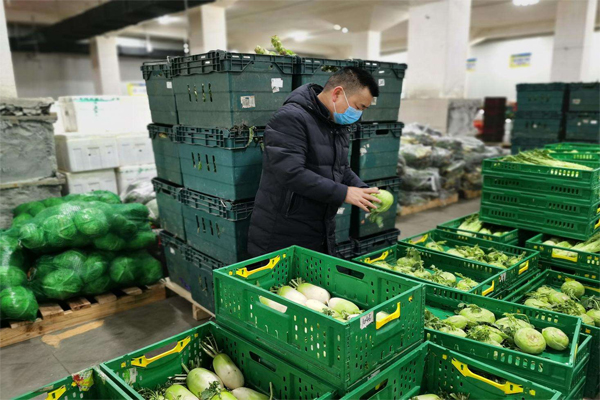 食材采购及配送项目 属性是货物还是服务？