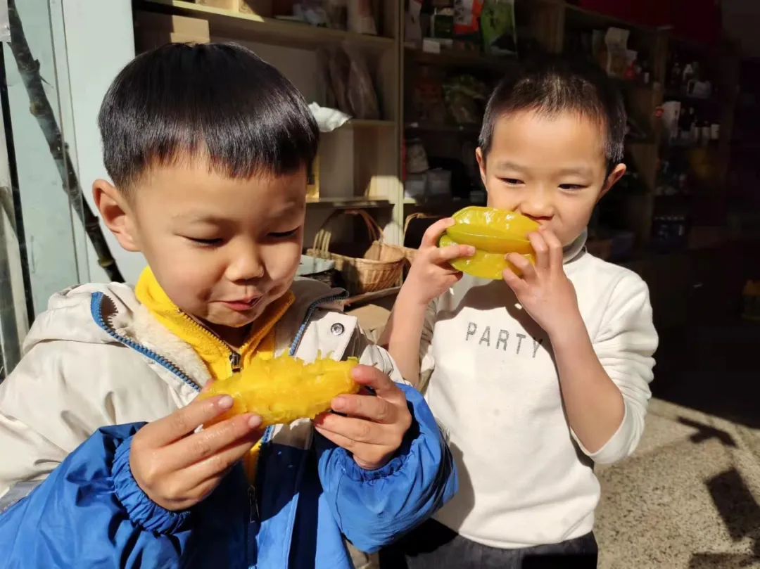 云南有机杨桃,皮薄肉厚,果脆汁多酸甜可口基地新鲜直发