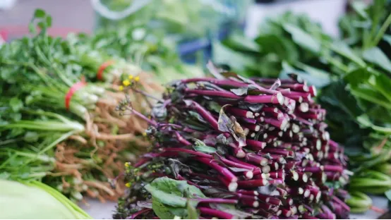 春菜抢“鲜”入市 市民尽享春日美味