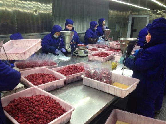 餐饮供应链下沉策略