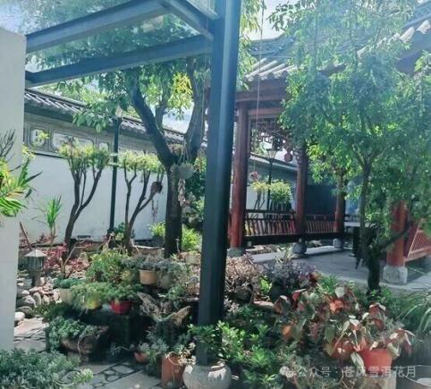 大理清真美食聚集地一“桥”一“村”