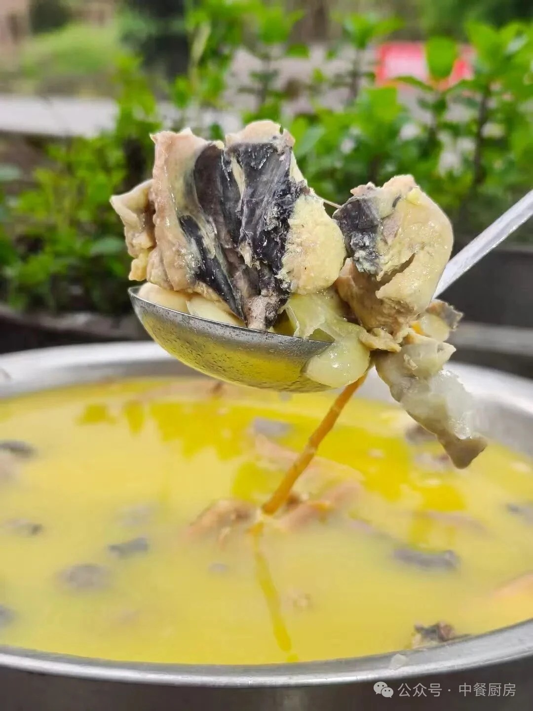 当餐酒楼旺销菜,传承老味