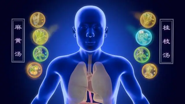 读懂五味配伍才算懂得中医饮食疗法