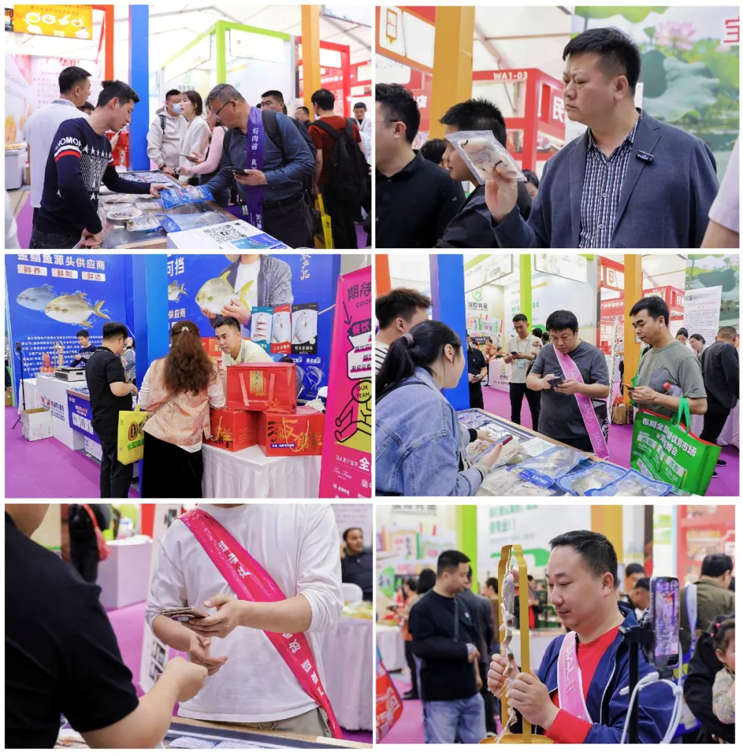 粤海水产赴“2026武汉良之隆·中国食材电商节”,金鲳鱼源头好品引关注