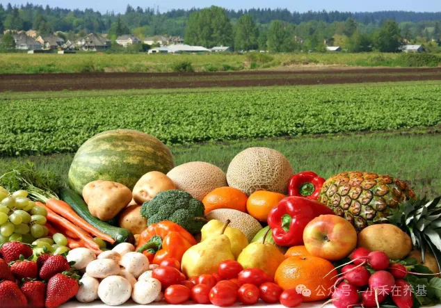 黄金涨完原油涨，下一个疯涨的会是农产品吗？