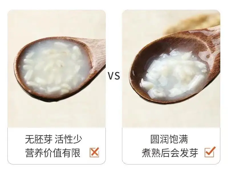 当餐优选食材裸燕麦胚芽米,边煮边发芽,有草原药粮之称!