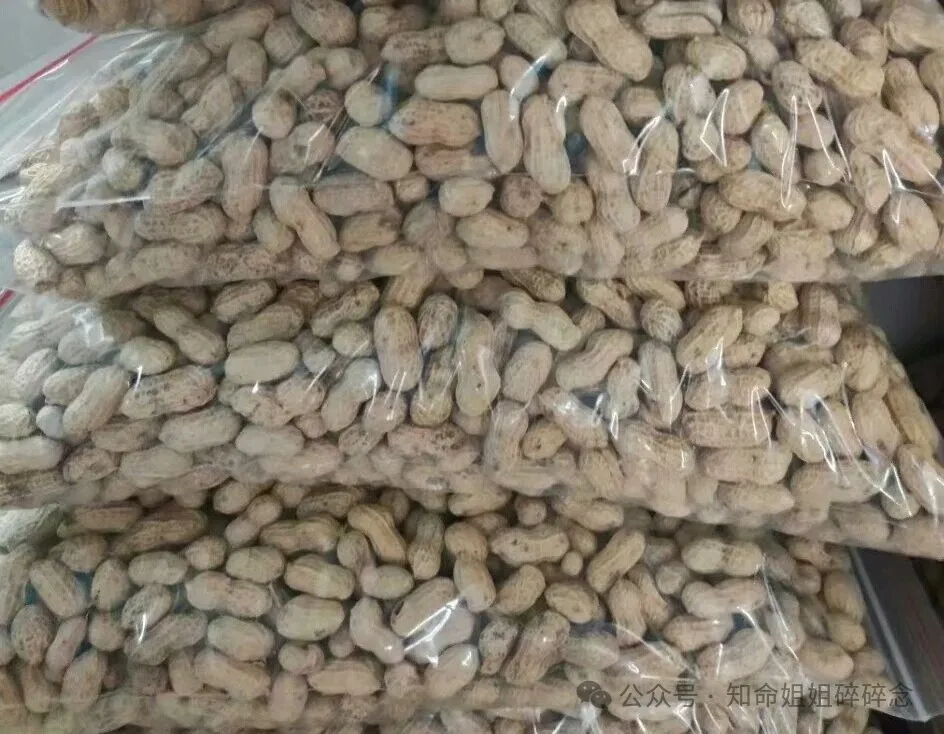 客家美食岩前花生