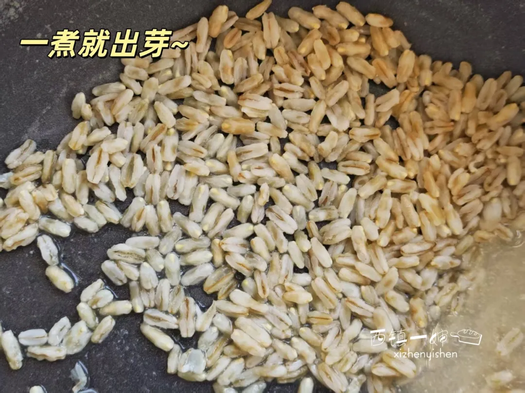 当餐优选食材裸燕麦胚芽米,边煮边发芽,有草原药粮之称!