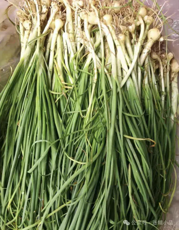 东阳美食之利细(胡葱)