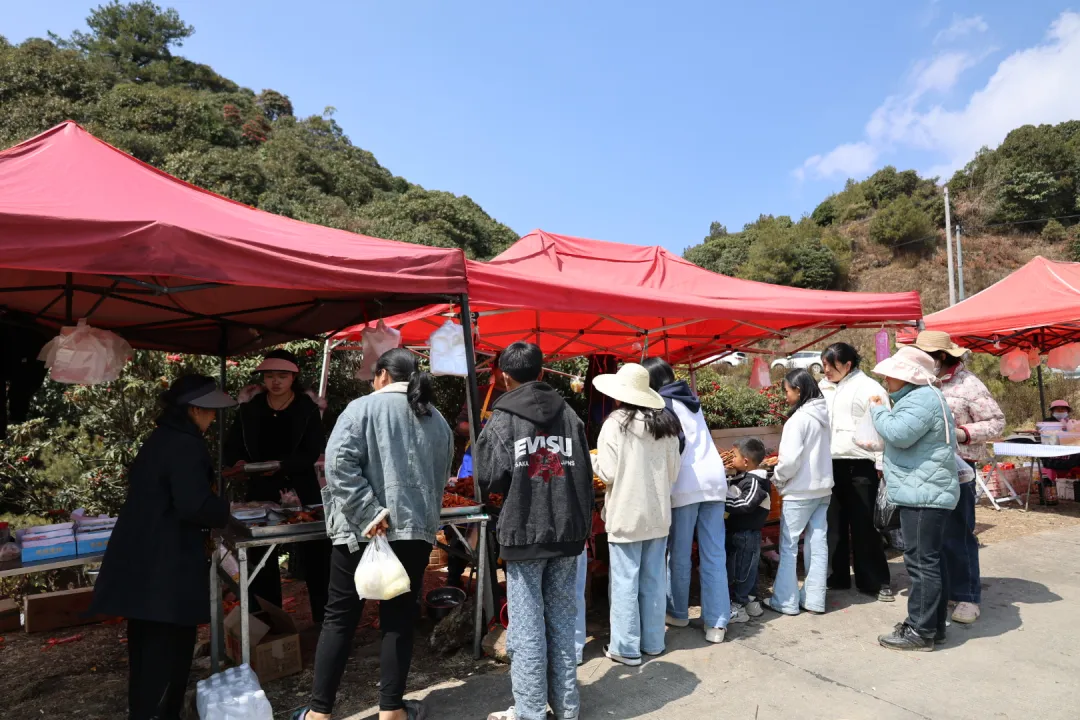 打歌弹唱品美食 碧寨山野闹元宵
