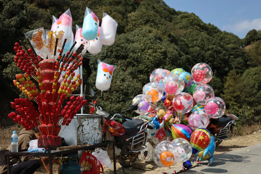 打歌弹唱品美食 碧寨山野闹元宵
