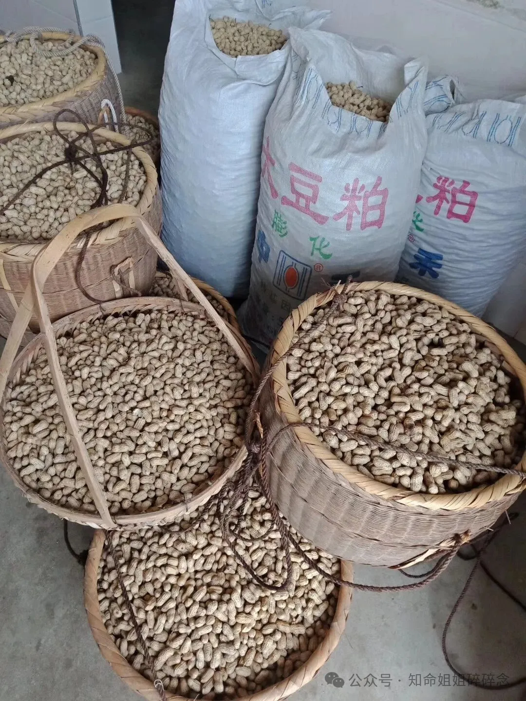 客家美食岩前花生