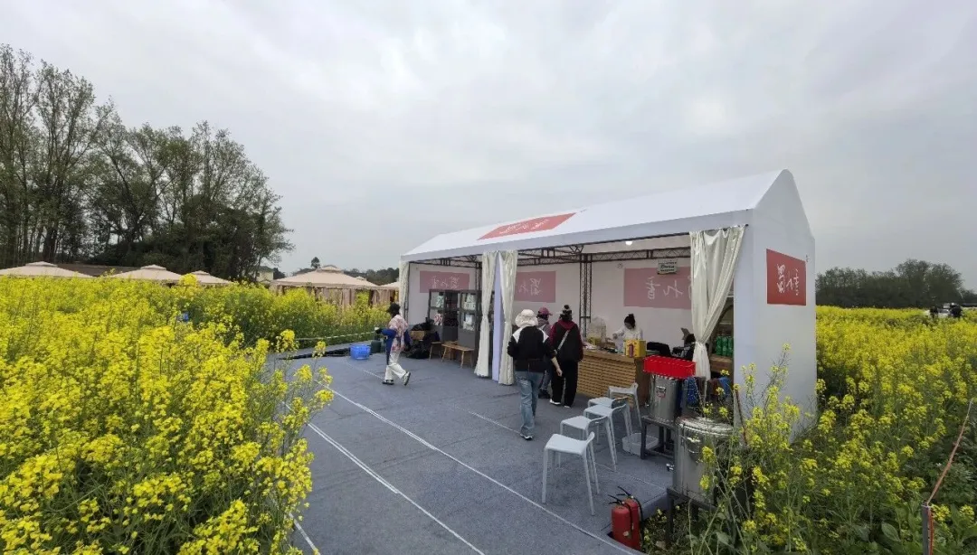 天府酒村在油菜花田里寻味春天