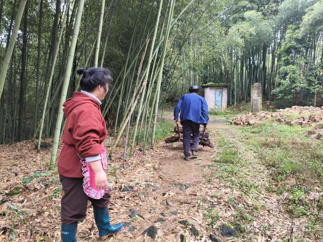 柴火铁锅吃山珍,从采摘到烹饪,只余满嘴鲜