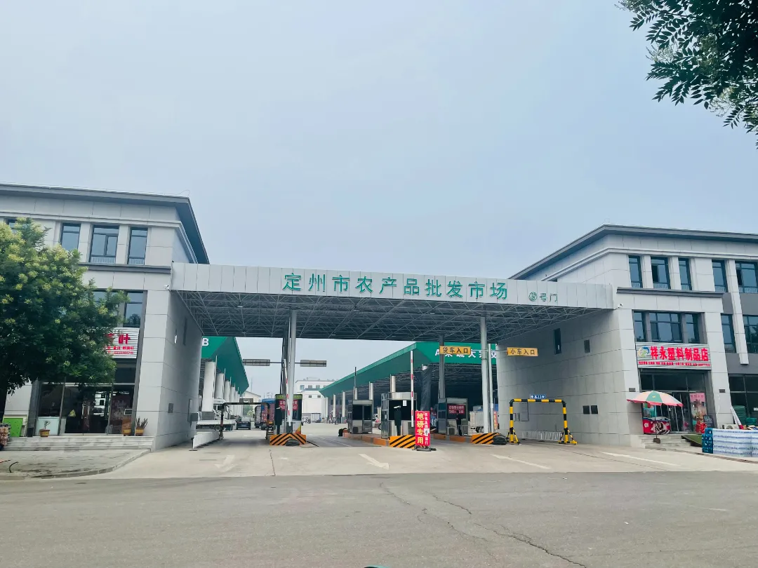 定州国际食品城火热招聘