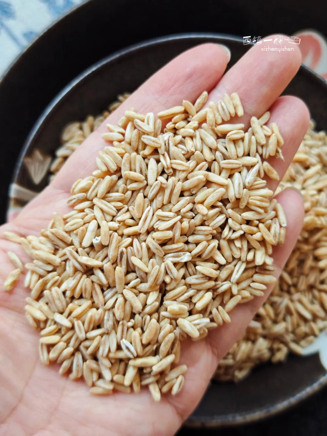 当餐优选食材裸燕麦胚芽米,边煮边发芽,有草原药粮之称!