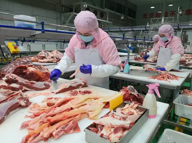 从3.15晚会看食品加工规范与食品安全