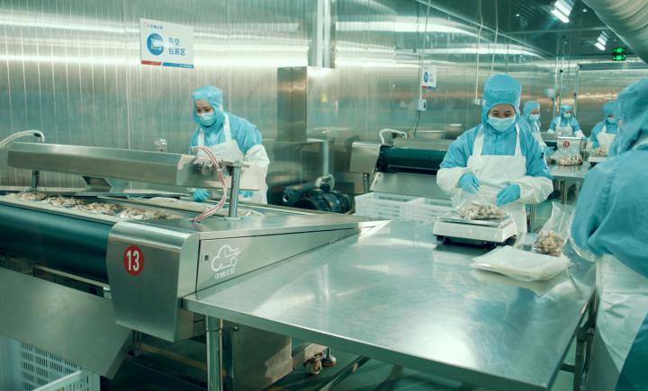 当餐优选供应链方案