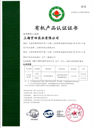 品质超群 紫色有机芦笋 生吃脆甜 富含氨基酸 令人赞不绝口