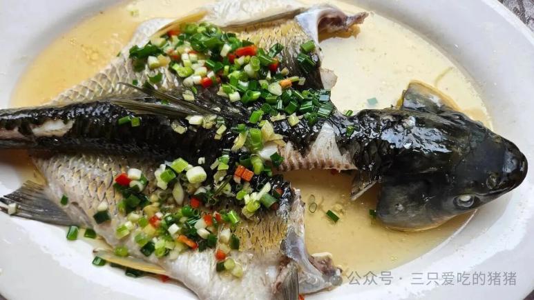 广宁的美食富矿，你试过没？