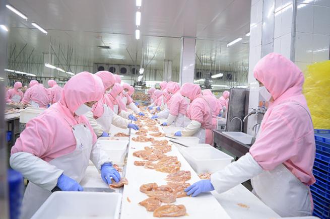 食品生产加工销售许可、登记、备案事项