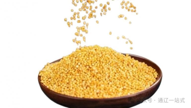 八珍味美食交融|舌尖上的科尔沁文化交响