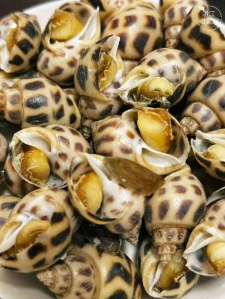 为了这些美食!我还能来湛江100次!