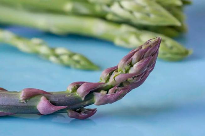 品质超群 紫色有机芦笋 生吃脆甜 富含氨基酸 令人赞不绝口