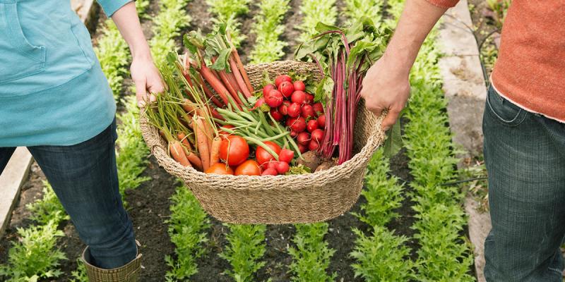 选择卓越食材配送供应商的关键策略与价值评估