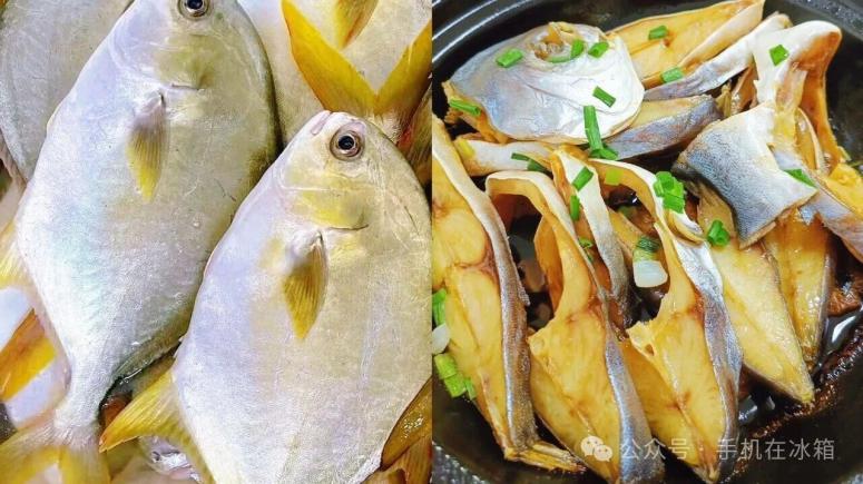 在湛江必吃的美食——遂溪篇