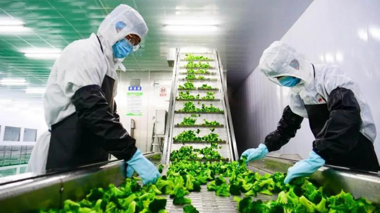 农副产品加工与锁鲜技术