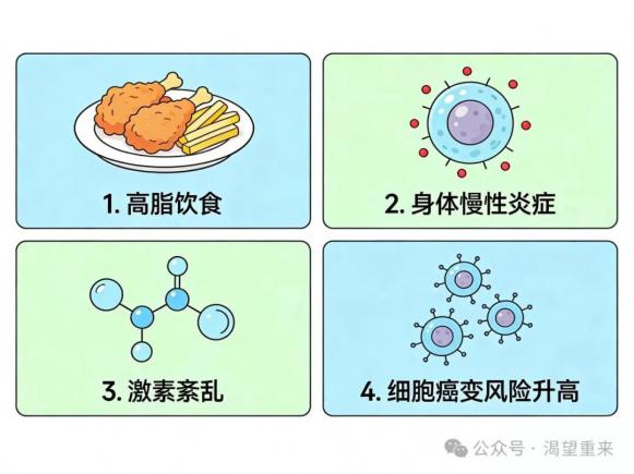 别让高脂饮食“喂”出癌症!少吃油腻,真的能防癌